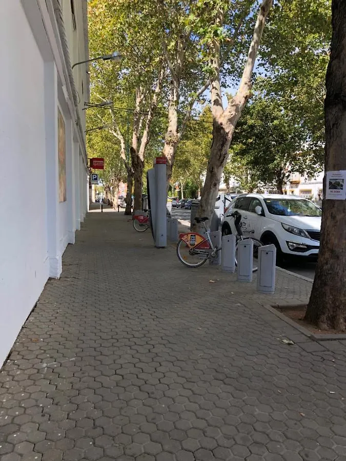 Apartamento 1 Dormitorio Y Salon Con Sofa Cama Bien Comunicado Con El Centro Seville 0*,  Spain